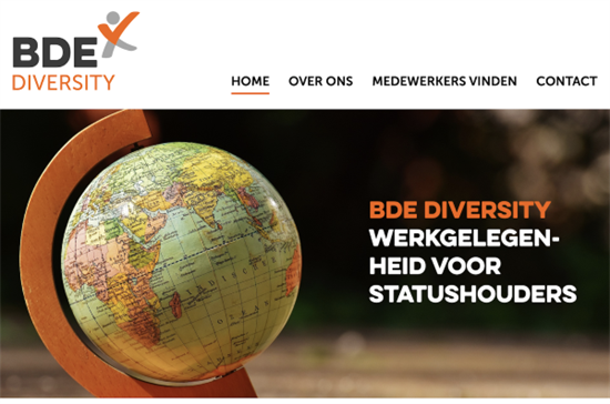 BDE_Diversity_nieuwe_website (002).png