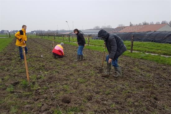 Studenten Aeres Farms Dronten planten erfsingel