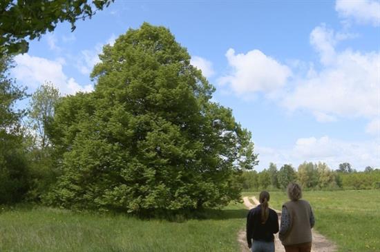 foto: screenshot reportage Omroep Flevoland