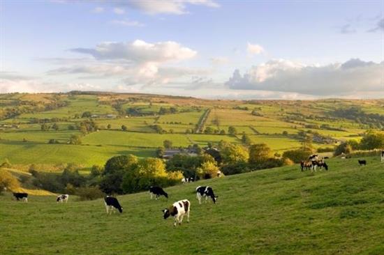 Derbyshire England Shutterstock - foto via VSO.jpg