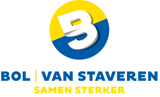 logo_bvs.png