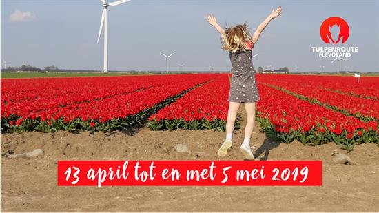 tulpenroute2019.jpg